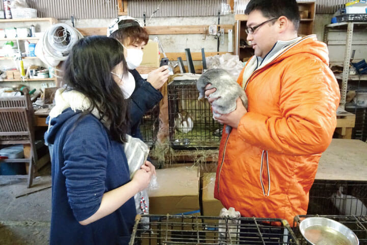 Keiwa Animal Rescue