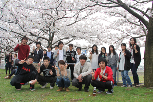 学生主催イベント、桜の下でみんなでランチ！