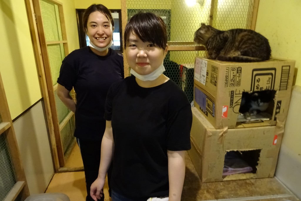 【学生レポート】動物保護施設でボランティアをしました（アニマルレスキュー）