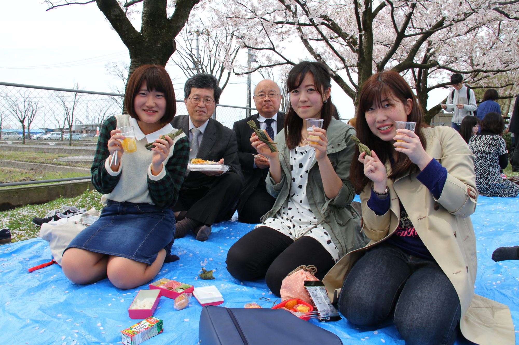 大学の桜が新入生を歓迎！「お花見ランチ」を開催しました