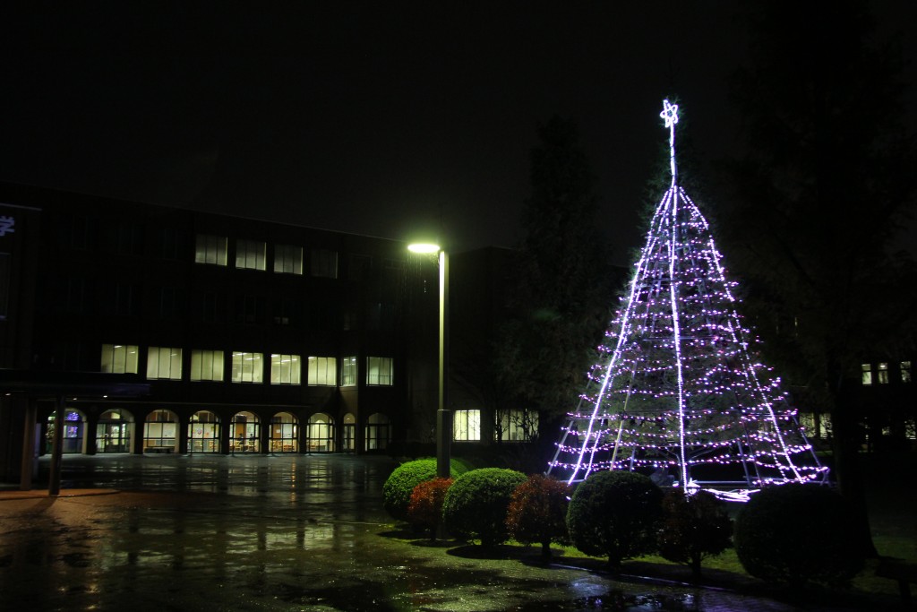 光の祭り（クリスマスツリー点灯式）