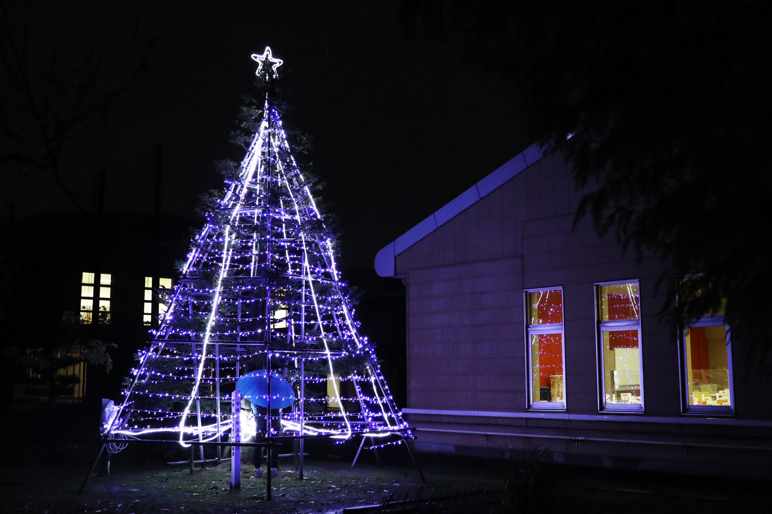 今年もクリスマスツリーが点灯しました