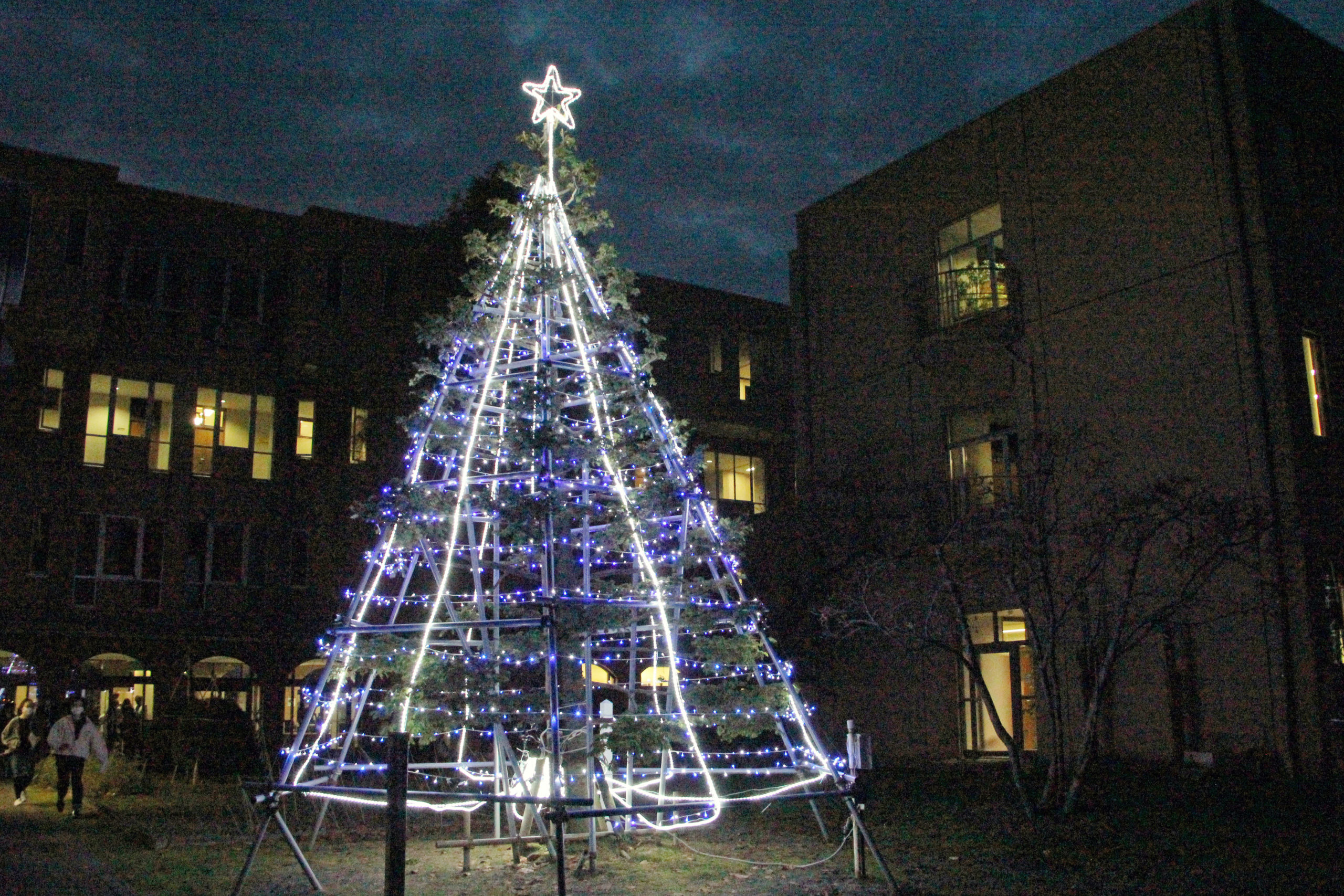 クリスマスツリー点灯式を行います（11月26日）