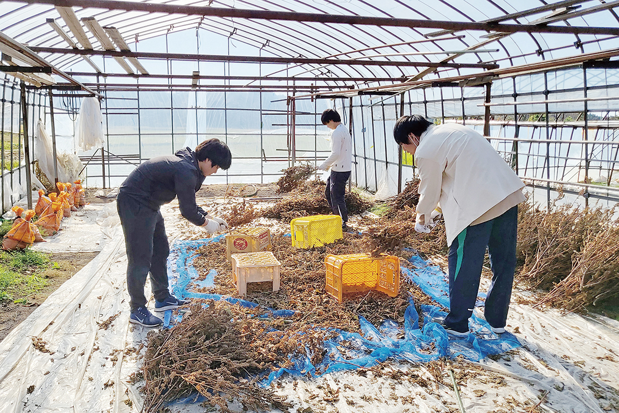 農福連携は自然豊かな新発田市上三光地区で活動しており、野生のサルたちに出会うこともあります。