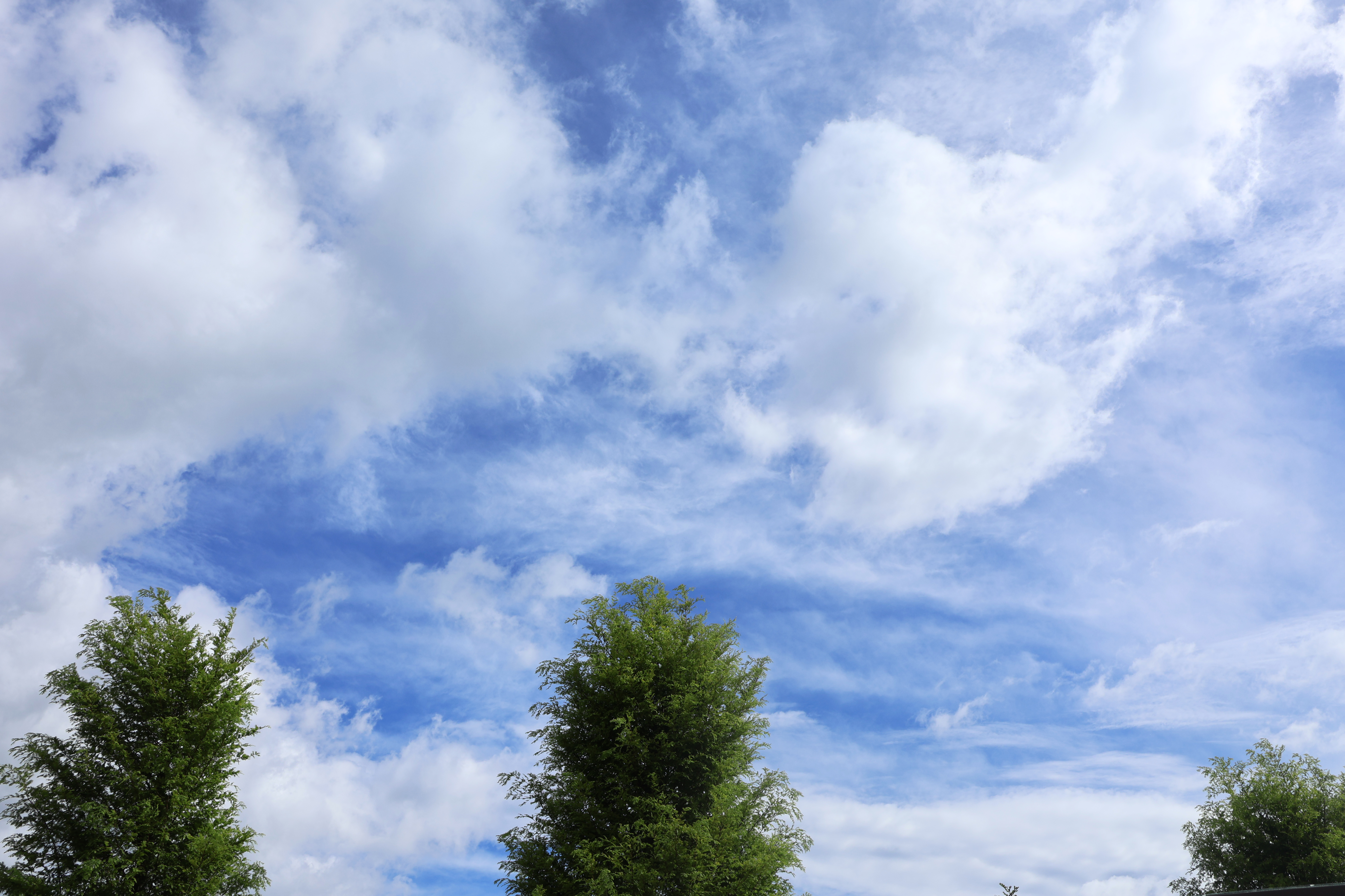 自分らしさを大切にすること