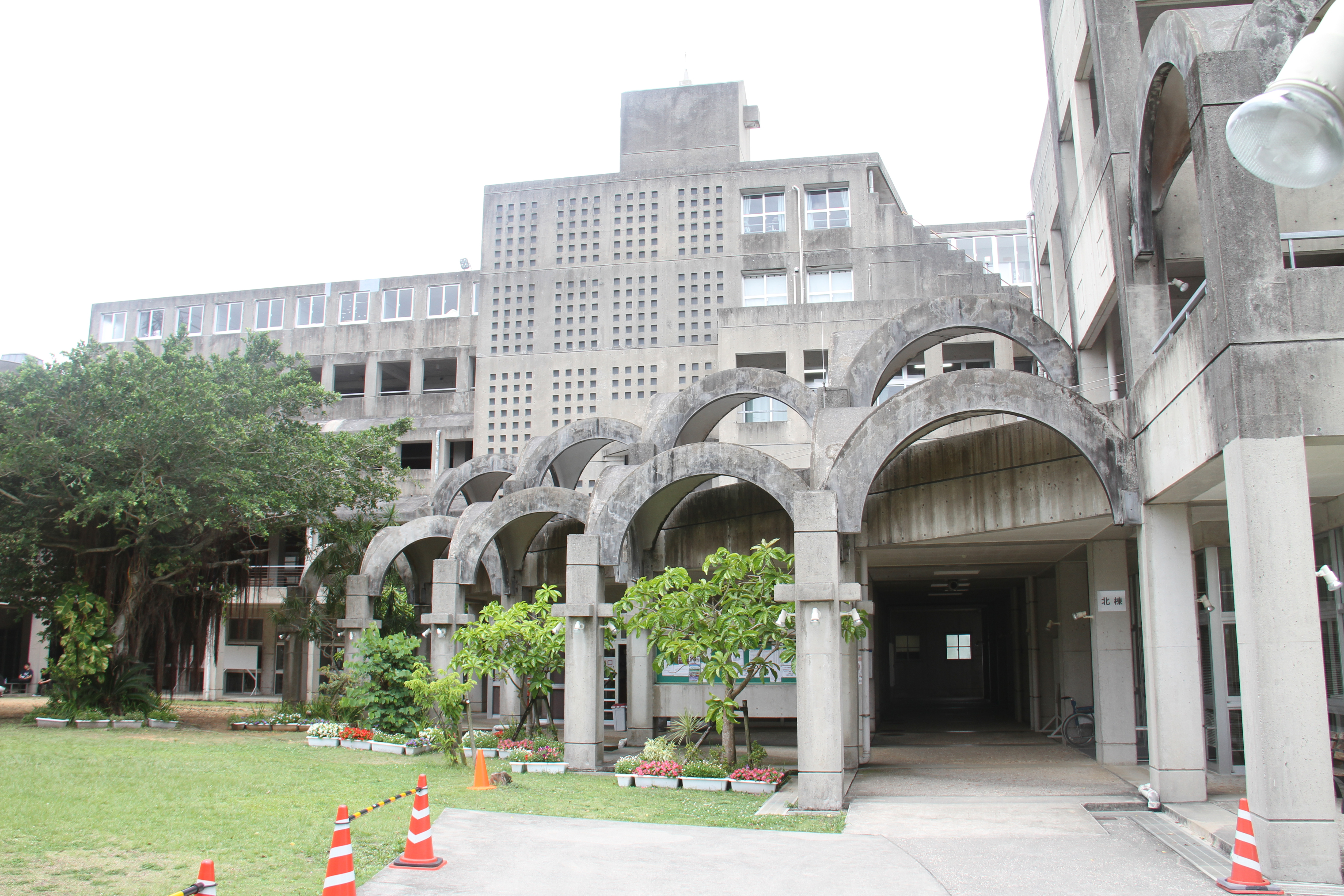 国内留学プログラム