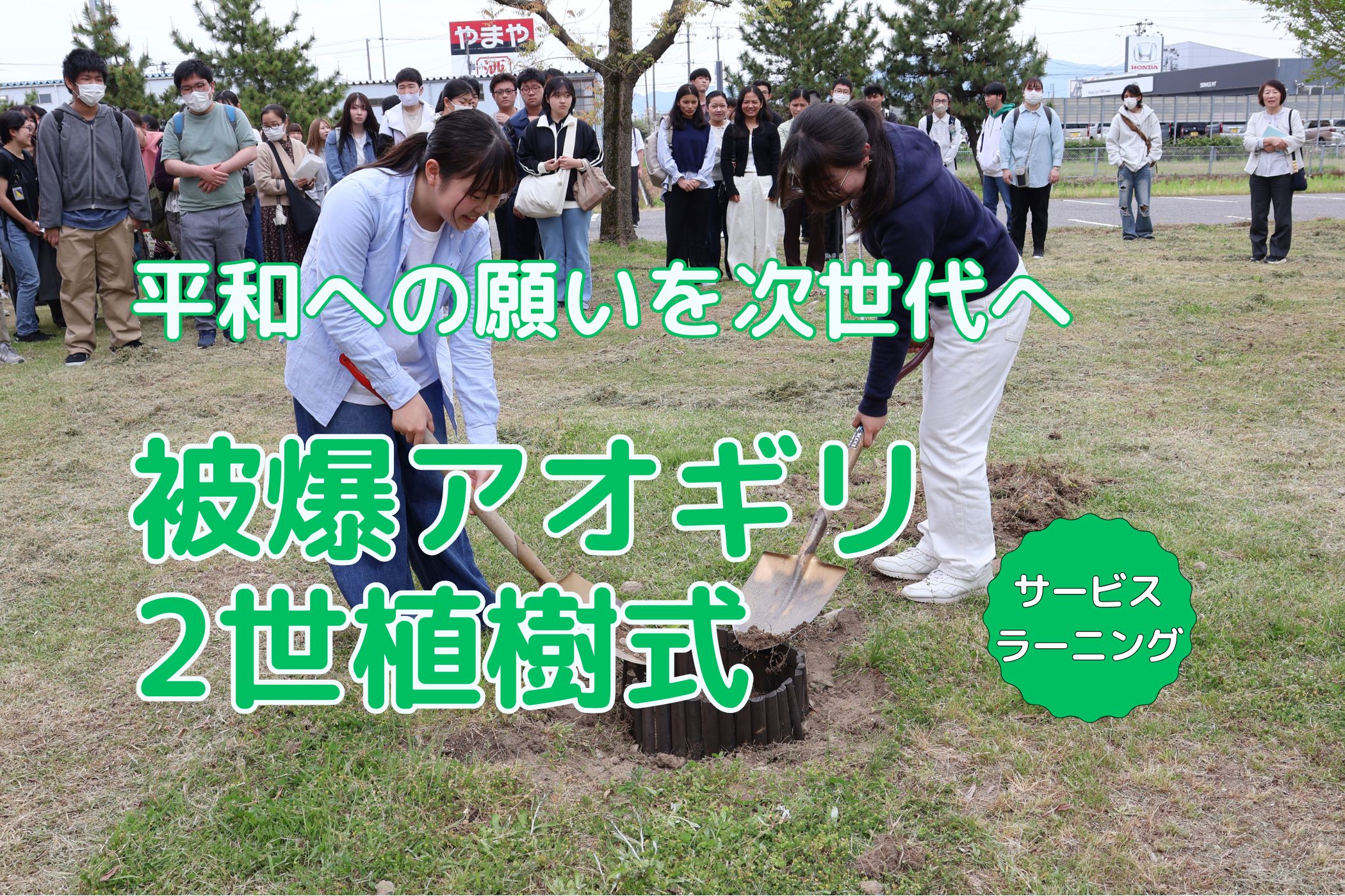 平和への願いを次世代へつなぐ、「被爆アオギリ2世」の植樹式を行いました