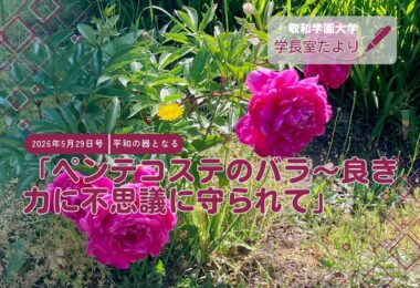 「ペンテコステのバラ～良き力に不思議に守られて」
