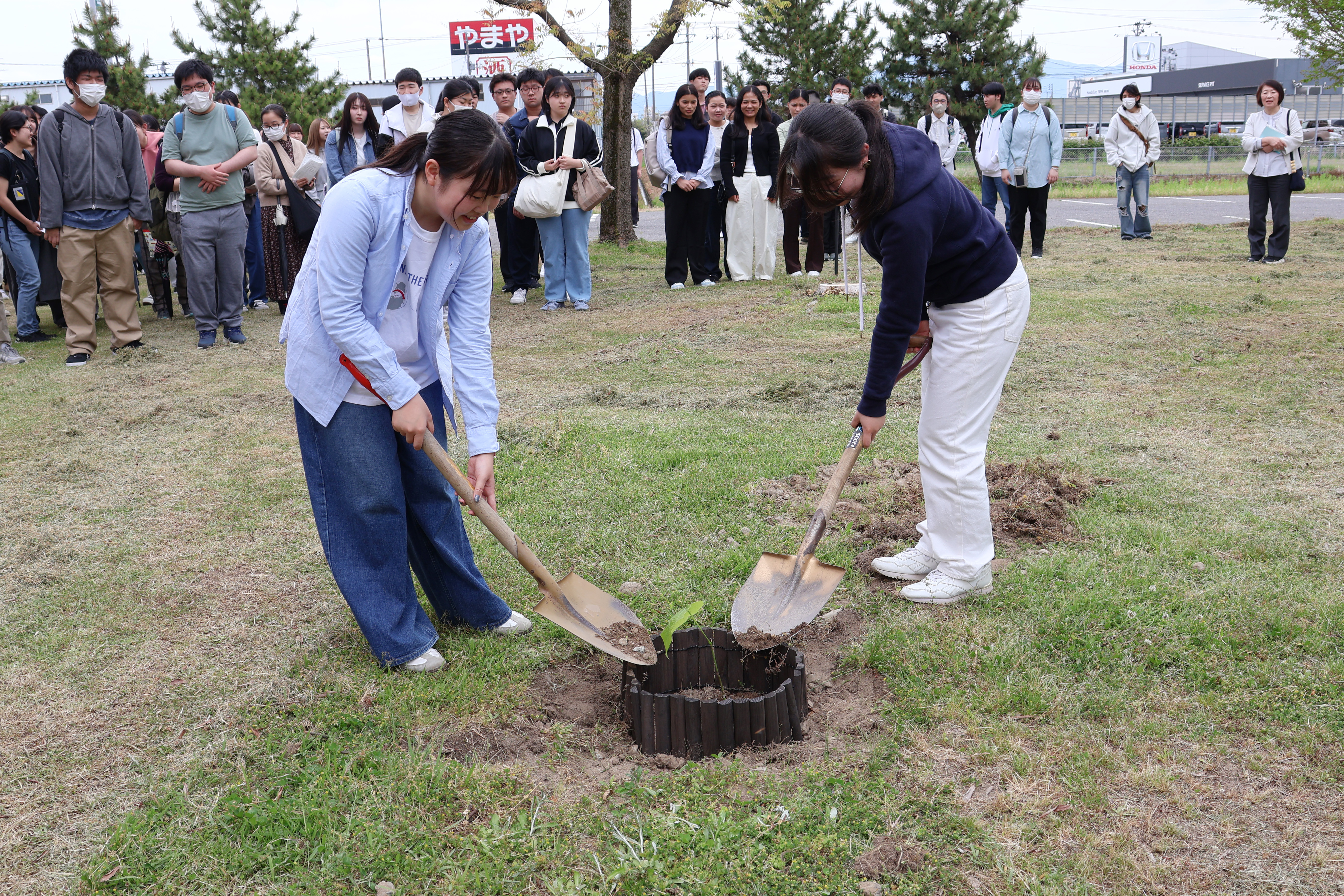 KPPサークル長の藤塚かりんさん(左)、メンバーと協力して植樹を行いました